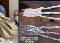 Three-fingered ‘alien mummy’ dug up in Peru could be new species of human, DNA test suggests