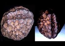 Is the 20 million-year-old Wolfsegg Iron an artificially made artifact?