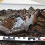Lost and found! 2,000-year-old leather shoe is discovered in Northern Germany after it disappeared into a bog