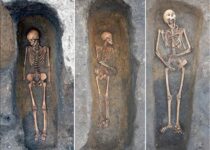 Medieval plague victims were buried individually with 'considerable care', new analysis of teeth reveals