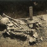 Researchers find 3,000-year-old shark attack victim in Japan Researchers find 3,000-year-old shark attack victim in Japan