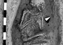 Researchers use genetic and isotopic data to investigate human mobility at Bronze Age city of Alalakh