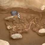 Ancient DNA reveals origin of first Bronze Age civilisations in Europe