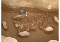 Ancient DNA reveals origin of first Bronze Age civilisations in Europe