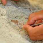 10,000-year-old food found in Bursa cave 10,000-year-old food found in Bursa cave