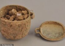 This 2,700-Year-Old Chinese Face Cream Combined Animal Fat and ‘Moonmilk’