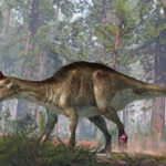A tumor in the foot and a fracture in the two tails complicated the life of this hadrosaurus. A tumor in the foot and a fracture in the two tails complicated the life of this hadrosaurus.