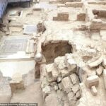 Two rock chambers thought to be dining rooms unearthed at ‘House of Muses’ in southeastern Turkey