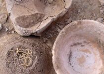 The Oldest Noodles in the World (4,000-years-old) Found in China