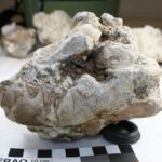 Ancient eggshell in the Northern Cape hiding 300,000 years of history