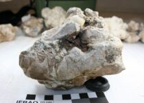 Ancient eggshell in the Northern Cape hiding 300,000 years of history