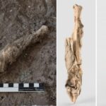Researchers sequenced the DNA 1,600-year-old sheep mummy from an ancient Iranian salt mine, Chehrabad Researchers sequenced the DNA 1,600-year-old sheep mummy from an ancient Iranian salt mine, Chehrabad