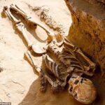 Russian farmer finds the remains of a 2,000-year-old nomadic 'royal'