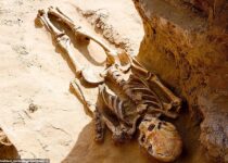 Russian farmer finds the remains of a 2,000-year-old nomadic 'royal'