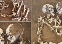 ‘Lovers Of Valdaro’: 6,000-year-old Italian Couple Need New Home