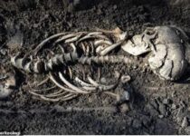 Skeletons of twin infant Vikings discovered in Sweden