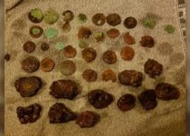 100 Roman coins were likely an offering for safe passage across river