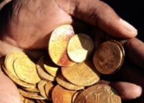 Archaeology Bombshell: Shipwreck’s ‘Chest Of Gold’ Find Could Solve 16th-Century Mystery