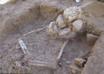 12,000-year-old village discovered in Jordan Valley