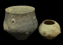 Reconstructing Genetics To Shed Light on Past Human Histories