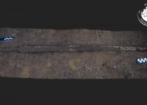 Rare Langsax fighting blade with Viking origins discovered in Poland