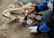 At ancient pyramid in Peru, remains of 20th century Chinese laborers found