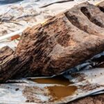 Over 1,600-year-old wooden pagan idol found in Roscommon bog