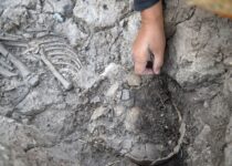 A Child’s Skeleton was Unearthed During the Tozkoparan Mound Excavations