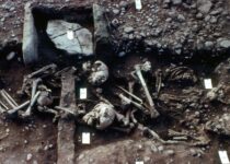 Mass grave of Viking army contained slaughtered children to help dead reach afterlife, experts believe