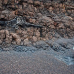 Decline In CO2 Cooled Earth’s Climate Over 30 Million Years Ago, Scientists Find Decline In CO2 Cooled Earth’s Climate Over 30 Million Years Ago, Scientists Find