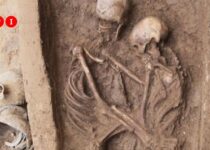 Over 1,600-yr-old tomb of embracing lovers found in north China