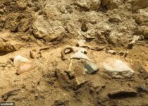 Archaeologists astonished as 'dramatic' evidence of Biblical earthquake found in Jerusalem