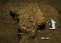 DNA from teenage girl who died 7,200 years ago reveals previously unknown humans