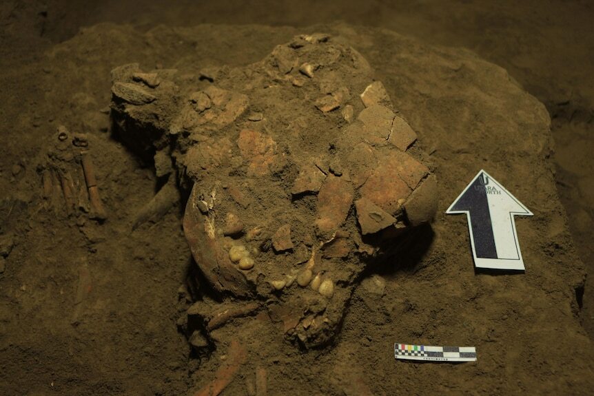 DNA from teenage girl