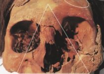 Chilling remains of ancient farmers who battered each other to death discovered