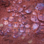 Archaeologists in Russia Have Uncovered the Copper Age Tomb of an ‘Amber Man’ Painted in Ocher Upon His Death