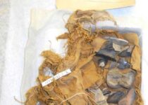 3,300 years old Ago Ancient Egyptians Now called ‘Black Bones of Set’ Collected and Revered Ancient Fossils