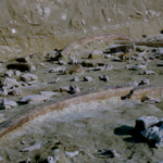 400,000-Year-Old Elephant Bone Tools Unearthed in Italy 400,000-Year-Old Elephant Bone Tools Unearthed in Italy