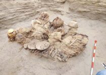 Gas pipe workers find 800-year-old bodies in Peru