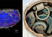 Archaeology breakthrough as 'lost ancient capital city' found in France: 'Exceptional!'
