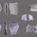 A 32,000-year-old skull discovered in central China is oldest known human fossil found in Henan province A 32,000-year-old skull discovered in central China is oldest known human fossil found in Henan province