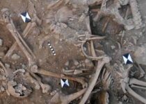 Mass graves of Crusaders killed in the 13th century have been discovered in Lebanon