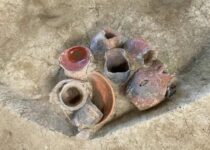 Early evidence for beer drinking in a 9000-year-old platform mound in southern China
