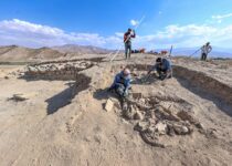 Animals buried with Urartian master in rare grave at ancient site in Turkey