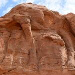 Camel carvings in Saudi desert could be 7,000 years old: Study