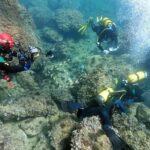 Amateur divers find an 'incredible' treasure trove of gold coins from the Roman Empire while cleaning up trash on the seabed
