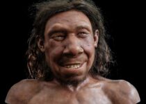Face of 50,000-year-old ‘Krijn’ reconstructed from Neanderthal skulls