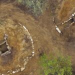 DNA Has Finally Revealed The Mysterious Origins of The Ancient Etruscans DNA Has Finally Revealed The Mysterious Origins of The Ancient Etruscans