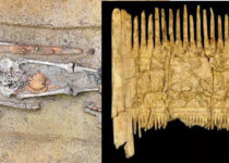 'Hipster' warrior was buried 1,500 years ago with a comb that may have been used to style his beard