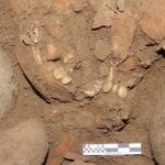 7,200-year-old human DNA with unique Denisovan ancestry was discovered In Indonesia